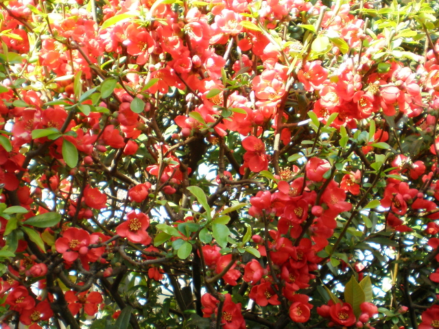 f0007580_22473315.jpg