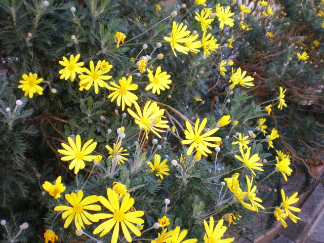f0007580_22492426.jpg