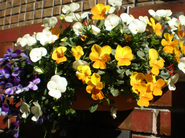 f0007580_22493857.jpg