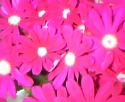 d0015489_0531734.jpg