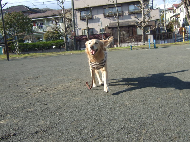 c0104492_22324382.jpg