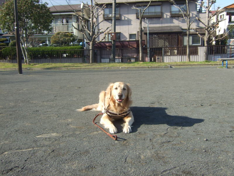 c0104492_22334041.jpg
