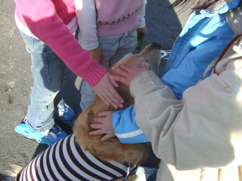 c0104492_22343133.jpg