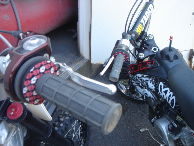 d0090192_238297.jpg