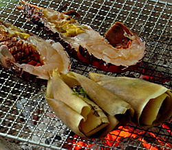 b0077394_21102679.jpg