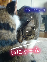 c0035001_17465295.jpg