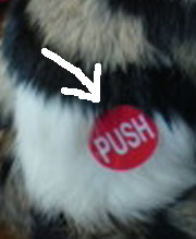 c0035001_17482813.jpg