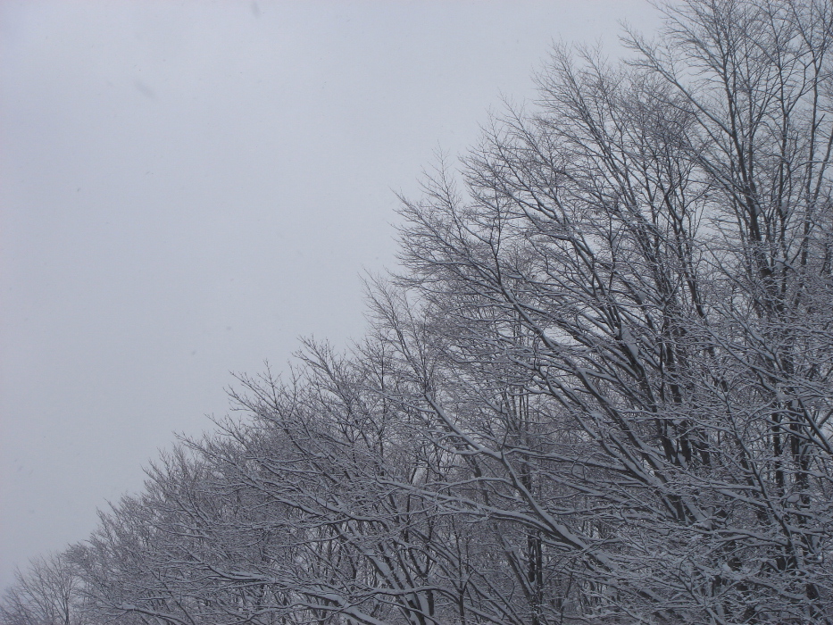 c0047602_22261516.jpg