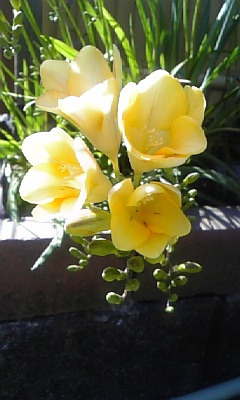 a0013905_21461825.jpg