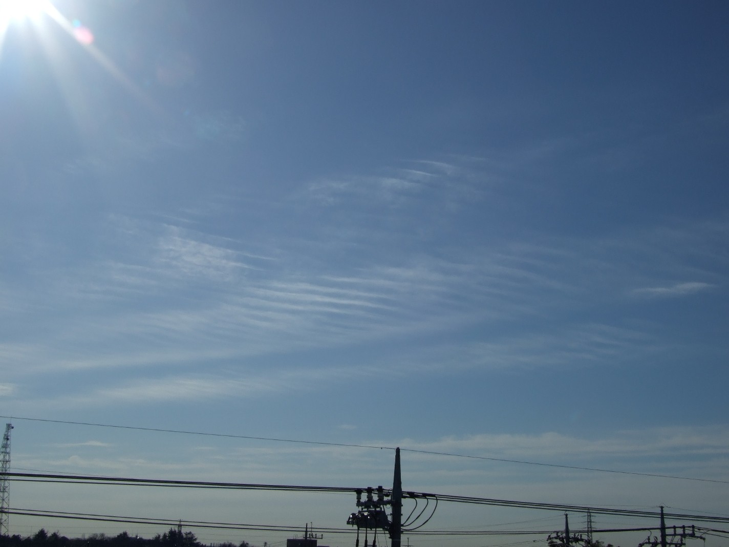 b0061010_17205245.jpg