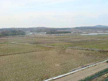 b0110035_19151576.jpg