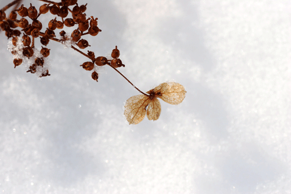 d0069235_2343967.gif