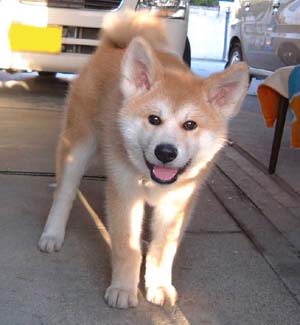 f0008935_13183099.jpg