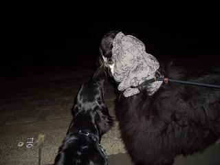 f0107145_2141269.jpg