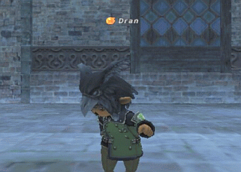 c0070849_17205724.gif