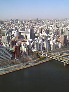 c0077465_1643555.jpg