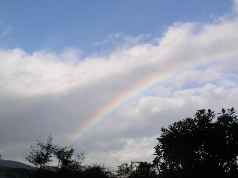 c0042869_21352765.jpg