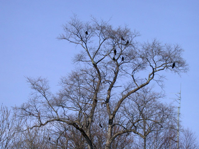 e0100772_22174118.jpg