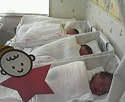 e0017290_154713.jpg