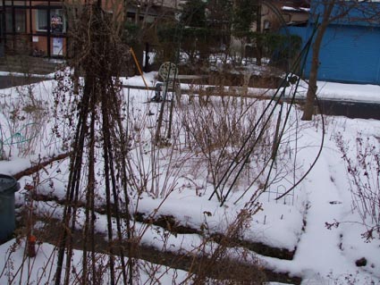 f0019498_1993185.jpg