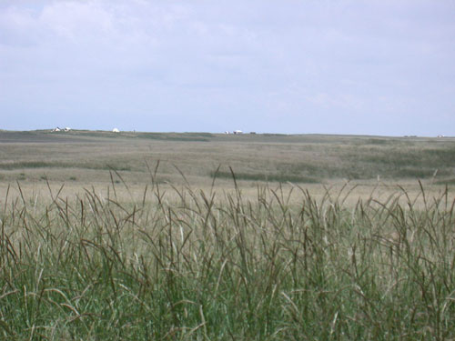 f0115214_14415852.jpg