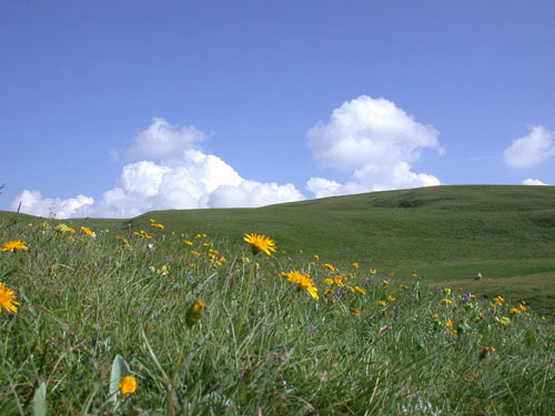 f0115214_14425897.jpg
