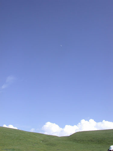 f0115214_14431849.jpg