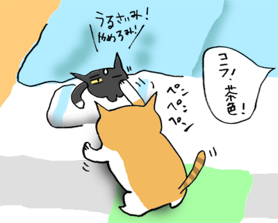 a0063520_8554239.gif