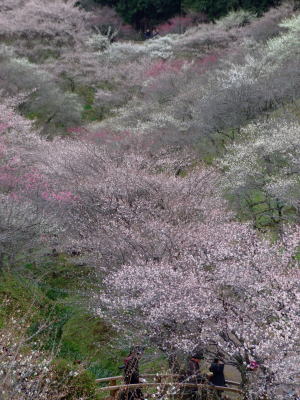 d0070920_10521943.jpg