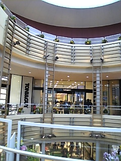 a0002826_2247140.jpg