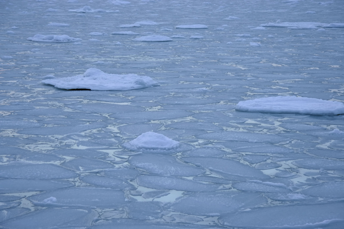 f0009433_16442387.jpg