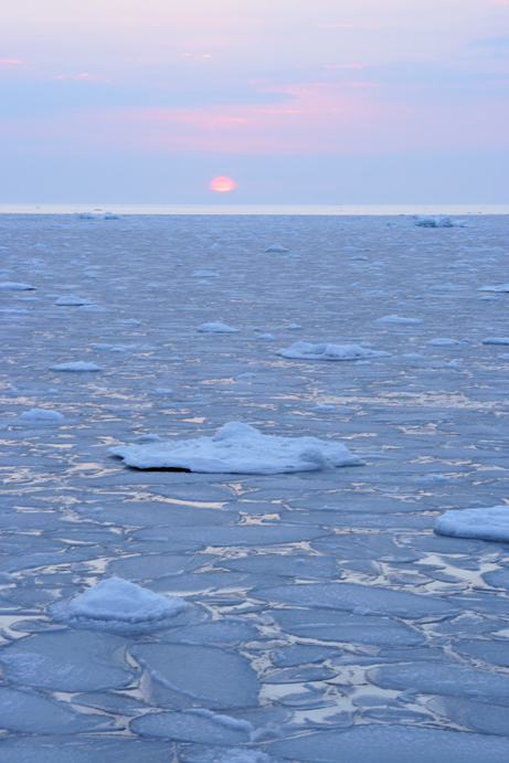 f0009433_1644680.jpg