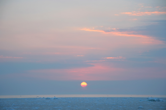 f0009433_1645524.jpg