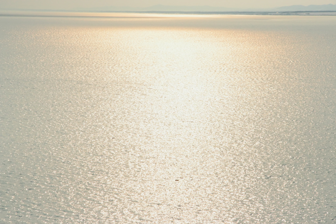 f0009433_16474072.jpg
