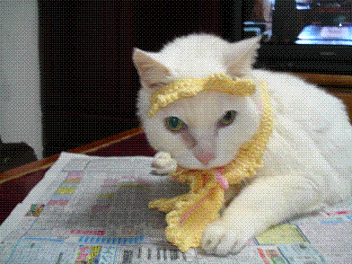 a0081346_82376.gif