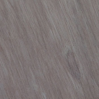 e0069646_1518551.jpg