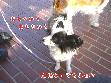 d0013149_92001.jpg