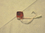 d0013149_9345940.jpg