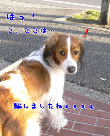 d0013149_975880.jpg