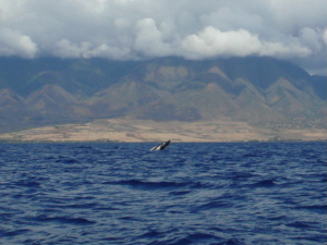 a0067962_804979.jpg