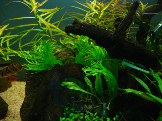 f0087479_16234673.jpg