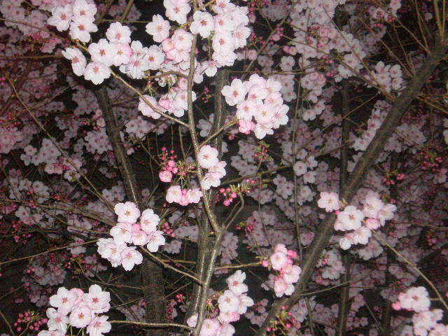 f0007580_236478.jpg