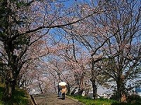 b0073782_1481719.jpg