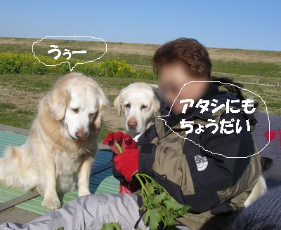 f0114893_7541261.jpg