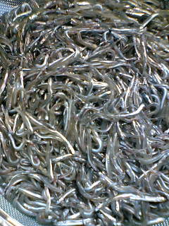 c0026594_23472594.jpg
