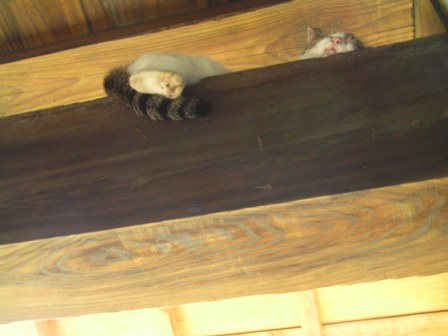 c0034595_1538690.jpg