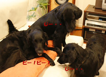 c0050400_23401030.jpg