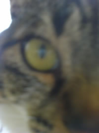 c0035001_17521147.jpg