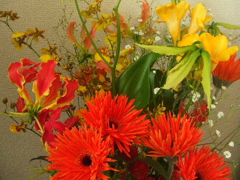 f0041606_20132288.jpg