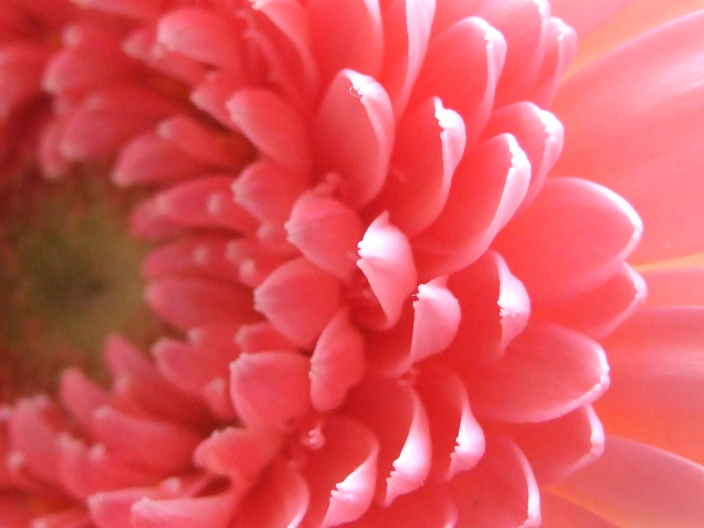 b0061010_1742150.jpg